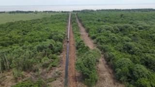 Walhi Riau Minta Menteri ATR/BPN Segera Cabut HGU PT. TUM