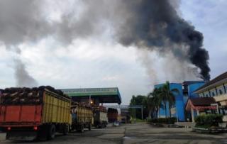 Direktur PT SIPP Jadi Tersangka Baru Kasus Pencemaran Lingkungan di Bengkalis