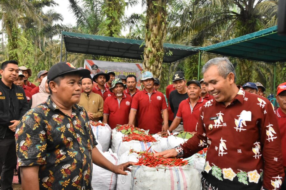 Pj Bupati Kampar Apresiasi Kebun Cabai 50 Hektar Milik Warga Danau Lancang