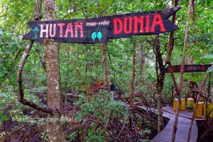 Sukseskan Program Riau Hijau, Kepala DLHK Minta Dukungan Semua Pihak