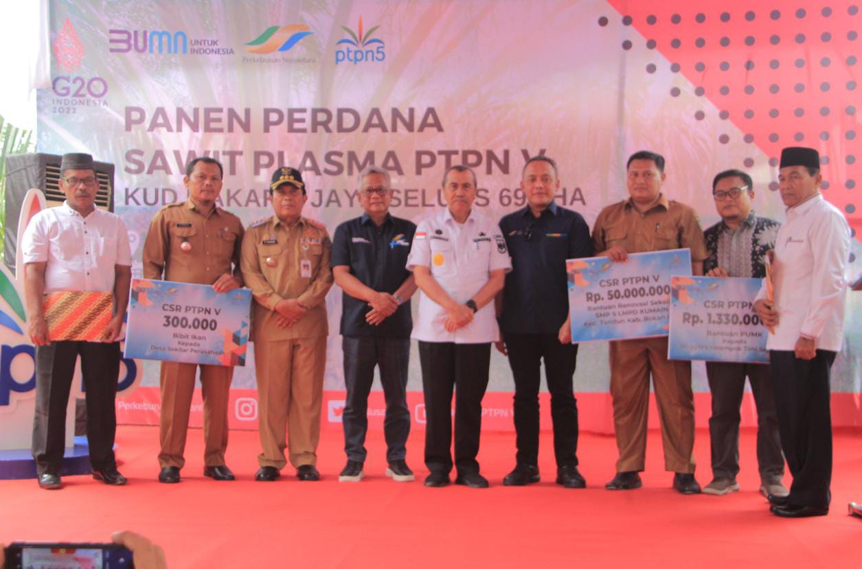 Bersama Gubernur Riau, Bupati Rohul Hadiri Panen perdana Sawit Plasma PTPN V KUD Makarti Jaya Tandun