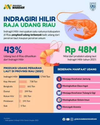 Mampu Hasilkan 1.744 Ton Udang Tahun Lalu, Inhil Kini Jadi Raja Penghasil Udang di Riau