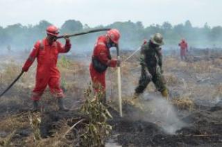 Tim Satgas Karhutla Riau Berjibaku Padamkan Api di Rambah Samo