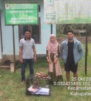 Ditemukan Sakit, Macan Akar Diserahkan Warga ke BBKSDA Riau