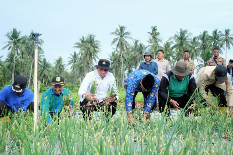 Bupati Apresiasi Hasil Panen Bawang Merah di Rangsang