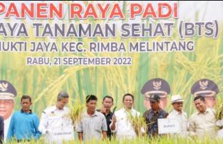 Panen Raya Padi Budidaya Tanaman Sehat, Wabup Rohil Minta Petani Diedukasi