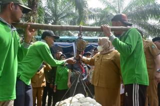 Bupati Bengkalis Canangkan Pemasaran Bahan Olah Karet