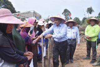 Pj Bupati Kampar Tanam Jagung Bersama Emak-emak Pulau Birandang