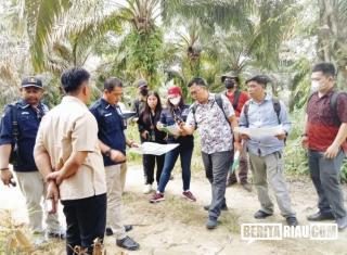 Sahat Oknum ASN PUPR Riau Terbukti Berkebun Sawit di HPHTI, YLBHR : Harus Ditumbangi