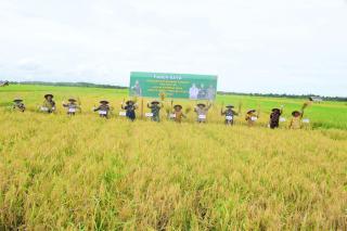 Wakil Bupati Bagus Santoso Hadiri Panen Raya Desa Mentayan