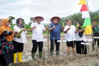 Wujudkan Ketahanan Pangan, Kamsol Ajak Warga Manfaatkan Lahan Tidur