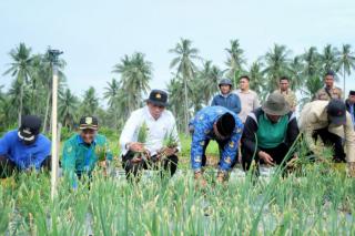 Bupati Apresiasi Hasil Panen Bawang Merah di Rangsang