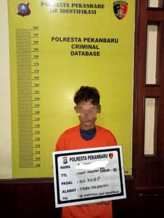 Nekat Mencuri di Rumah Warga Pekanbaru, Pemuda Tanggung Diamankan Polisi