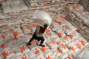 Punya Stok 11 Ribu Ton Lebih, Bulog Pastikan Stok Beras di Riau Aman Jelang Nataru