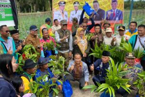 Kadis LHK Riau Bagikan 10 Ribu Bibit Pohon di Kampung Wisata Kandis