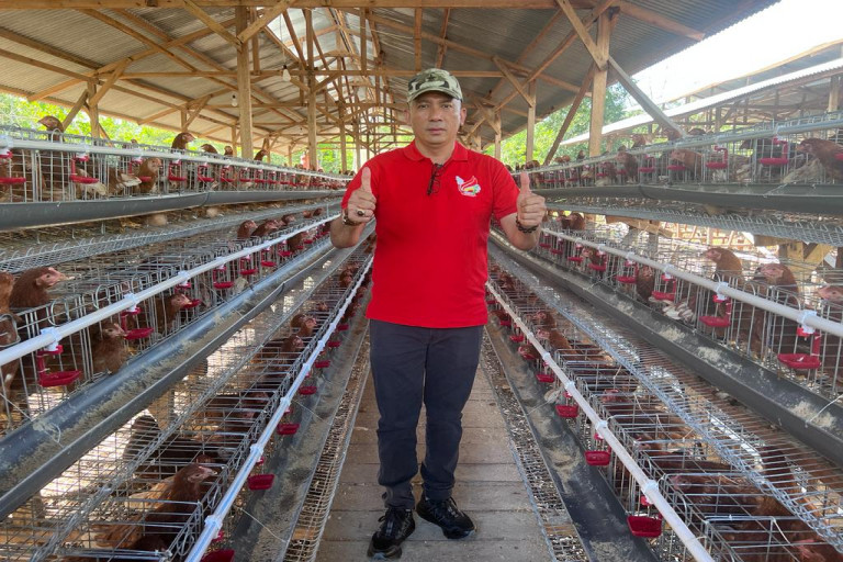 Bupati Adil Tinjau Peternakan Ayam Petelur di Batang Malas
