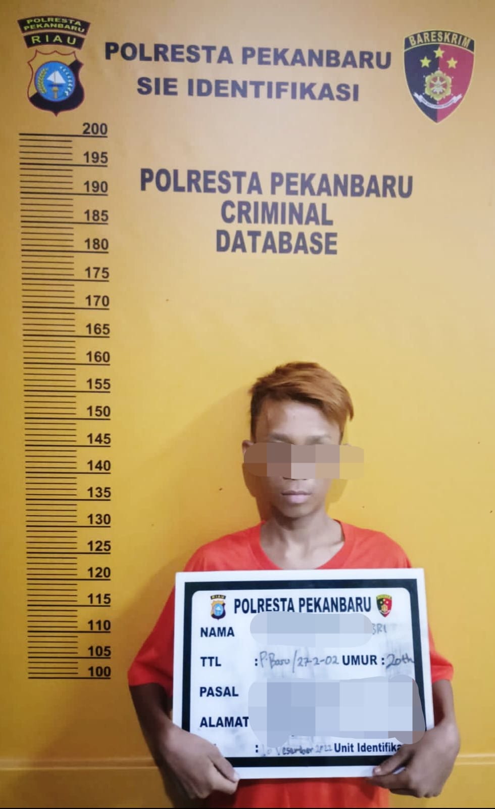 Tawarkan Jasa Seksual Lewat Aplikasi Michat, Pria 20 Tahun Ini Ditangkap Tim Jantanras