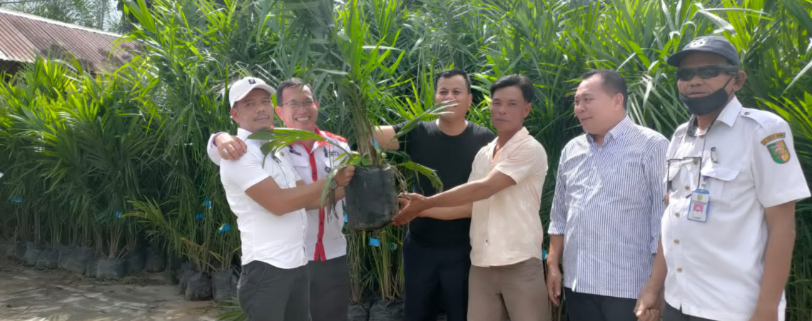 Suhardiman Amby Serahkan Bantuan 1.300 Bbit Sawit untuk Poktan di KHS