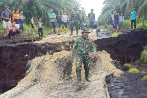 Darurat! 482 Km Pantai di Riau Terdampak Abrasi