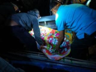Lagi, Warga Meranti Tewas Diserang Buaya saat Bawa Batang Sagu