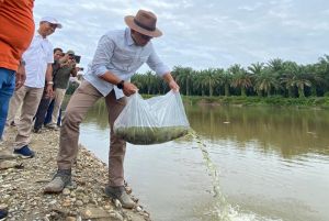 300 Ribu Benih Ikan Disebar di Sejumlah Sungai di Riau