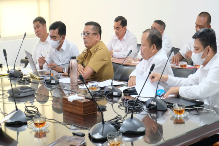 Minta Kejelasan Perhitungan DBH, Bupati Meranti Kembali Audiensi Bersama Kemenkeu