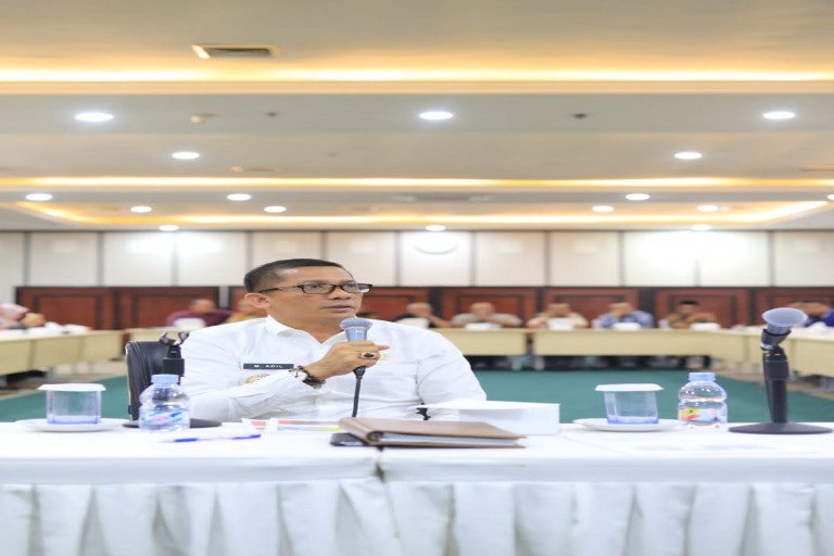 Audiensi ke Kemendes PDTT, Bupati : Meranti Butuh Intervensi Kebijakan Nasional