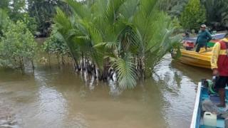 Tragis! Mandi di Sungai, Sapril Hilang Usai Diterkam Buaya