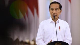 Ini Agenda Kunjungan Kerja Presiden Jokowi Selama di Riau