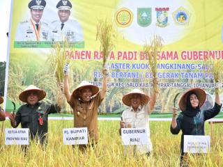 Kamsol Panen Raya Padi Bersama Gubernur Riau dan Serahkan Alsintan untuk Para Petani