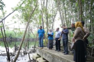UNRI Kembangkan Kawasan Ekowisata Mangrove di Kampus Dumai