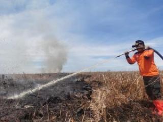 Cegah Karhutla, BPBD Riau Lakukan Persiapan Hadapi Musim Kemarau