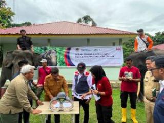 Canggih! Pergerakan Gajah di Sekitar Tol Pekanbaru-Dumai Bakal Dipantau dengan Alat Ini