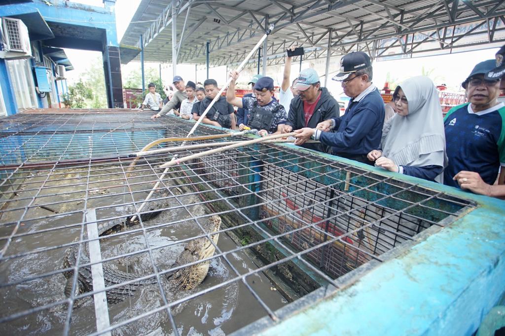 Bupati Wardan Sambangi Kantor Damkar dan Penyelamat, Sempat Kasih Makan Buaya