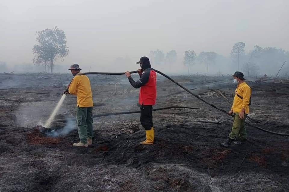 10 Kabupaten/Kota di Riau Diminta Segera Tetapkan Siaga Darurat Karhutla
