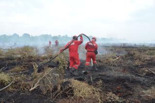 Antisipasi Kemarau 2023, DLHK Riau Minta Perusahaan Siaga Karhutla