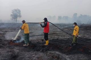 10 Kabupaten/Kota di Riau Diminta Segera Tetapkan Siaga Darurat Karhutla