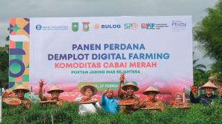 Dukung GNPIPI 2023, Pj Bupati Kampar dan TPID Provinis Riau Panen Cabai Demplot Digital Farming