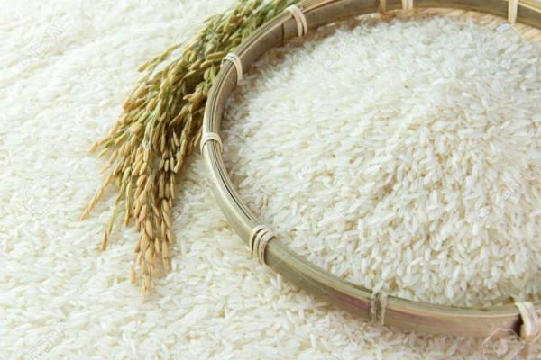 Pemerintah Segera Umumkan HPP Gabah dan Beras Terbaru