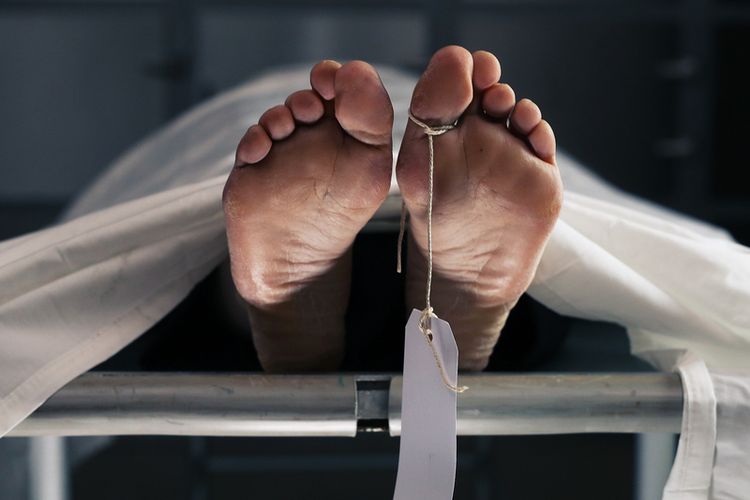 Dorrr! Polisi Tembak Mati 2 Pelaku Perampokan Sadis di Inhil