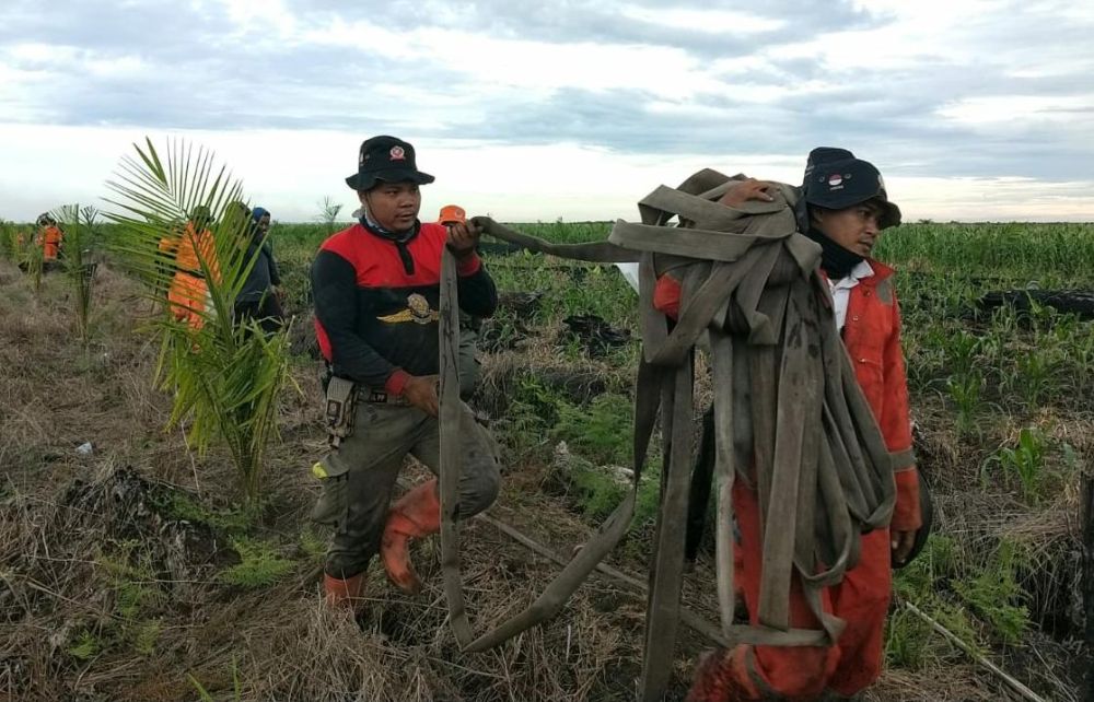 Padamkan Kebakaran Lahan, BPBD Riau Kirim Tim dan Peralatan ke Bengkalis