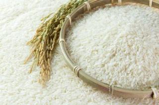 Pemerintah Segera Umumkan HPP Gabah dan Beras Terbaru