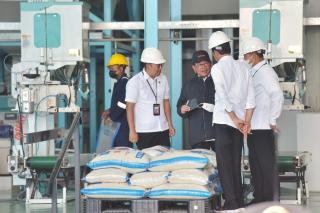 Panen Raya, Presiden Minta Bulog Serap Gabah Petani Sebanyaknya