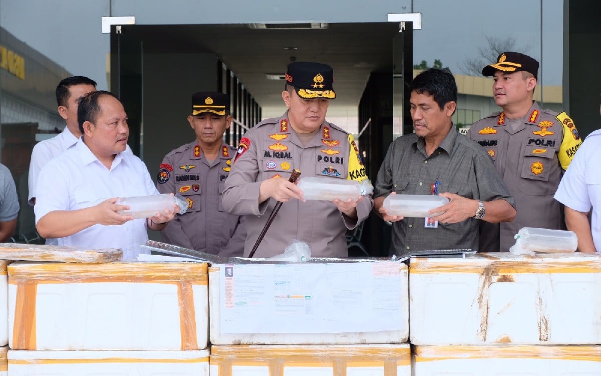 Dua Pelaku Ditangkap, Polda Riau Gagalkan Penyelundupan Benur Senilai Rp 61 Miliar