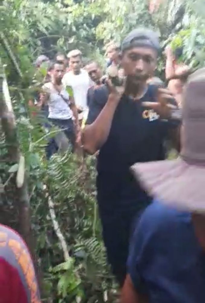 Mengerikan! Lagi Panen Getah, Warga Siak Tewas Diterkam Harimau hingga Kepala Putus
