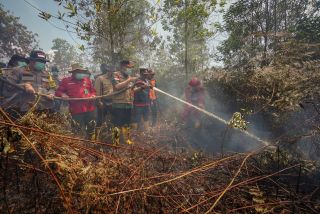 Gubernur Syamsuar Ikut Berjibaku Padamkan Karhutla di Dumai