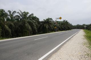 Hadapi Mudik Lebaran, 30 Persen Ruas Jalan Provinsi di Riau dalam Kondisi Rusak