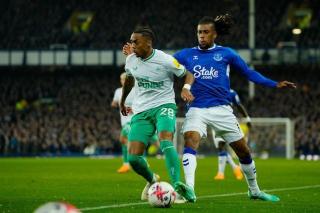 Premier League: Everton Takluk dari Newcastle dengan Skor 1-4