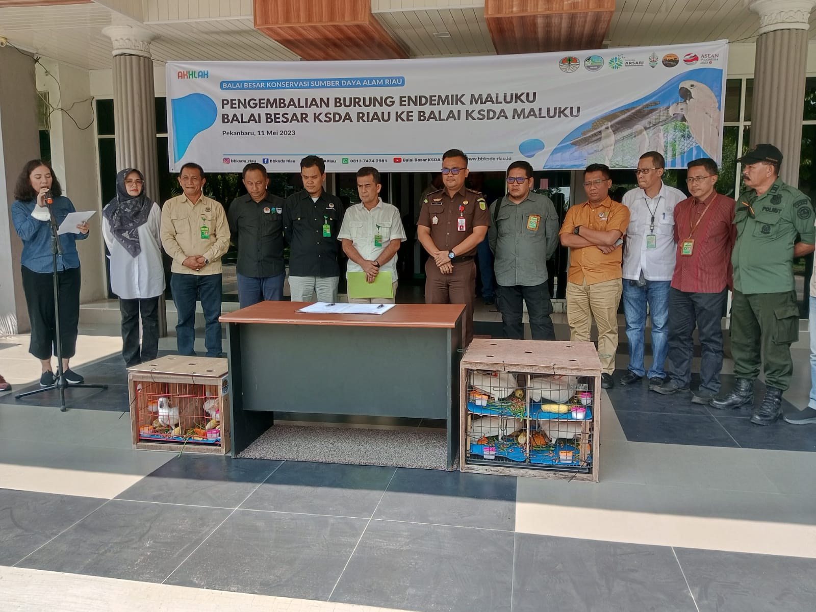 Enam Burung Kakatua Maluku Dipulangkan ke Habitat Asli