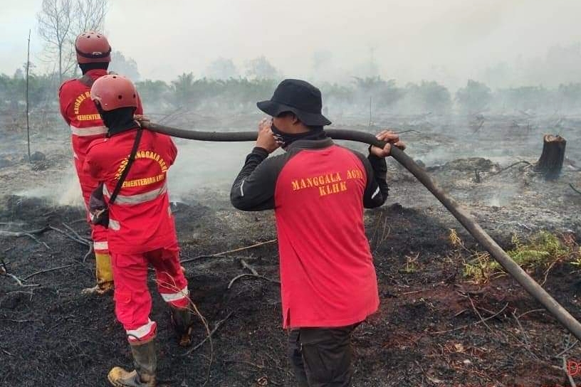Petugas Gabungan Berhasil Padamkan Karhutla di Pelintung Dumai